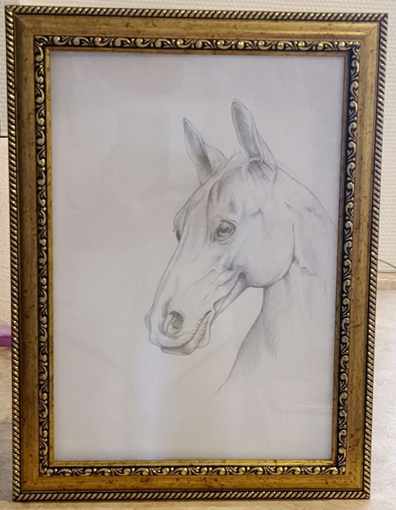 Скетч "Кінь"